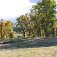 Pinnacle Property of Montana - Real Estate Agency image 3